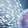 IVF & Infertility