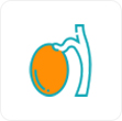 Epididymal Cyst
