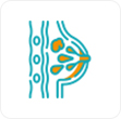 Gynecomastia