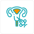 Uterus Removal